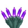Northlight 50ct. LED Mini Christmas String Lights With Green Wire Purple