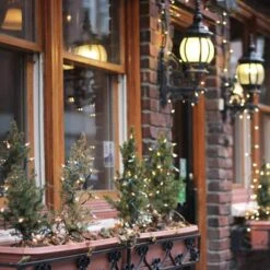 Northlight 50ct. Mini Christmas String Lights With Green Wire Clear -Holiday Glow D491460S 2