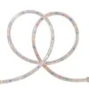 Northlight 18ft. Multi-Colored Outdoor Christmas Rope Lights 1 Northlight 18ft. Multi-Colored Outdoor Christmas Rope Lights -Holiday Glow D491493S 1