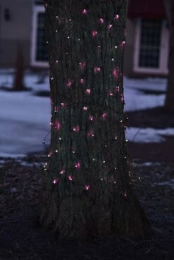 Northlight 2ft. X 8ft. LED Tree Trunk Wrap Christmas Net Lights Pink 14 Northlight 2ft. X 8ft. LED Tree Trunk Wrap Christmas Net Lights Pink -Holiday Glow D491512S 12
