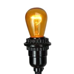 Northlight Transparent Incandescent S14 Replacement Christmas Bulbs, 25ct. Amber 17 Northlight Transparent Incandescent S14 Replacement Christmas Bulbs, 25ct. Amber -Holiday Glow D676232S 3